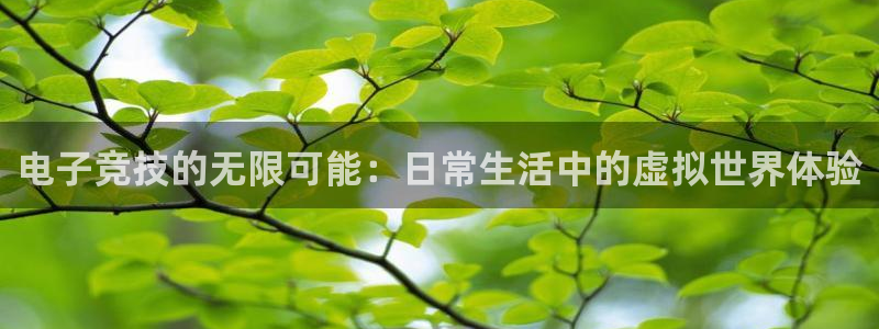 电子竞技的无限可能：日常生活中的虚拟世界体验