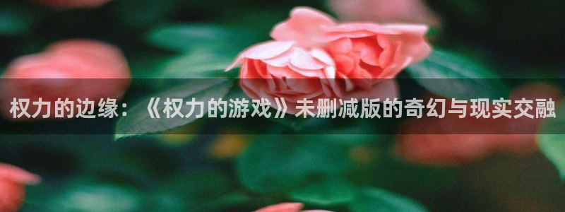 权力的边缘：《权力的游戏》未删减版的奇幻与现实交融