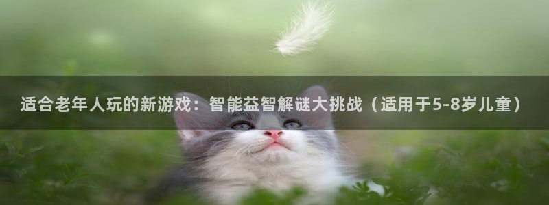 适合老年人玩的新游戏：智能益智解谜大挑战（适用于5-8岁儿童