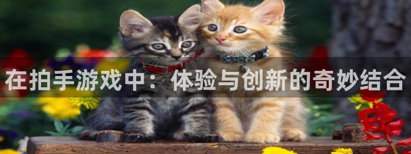 在拍手游戏中：体验与创新的奇妙结合