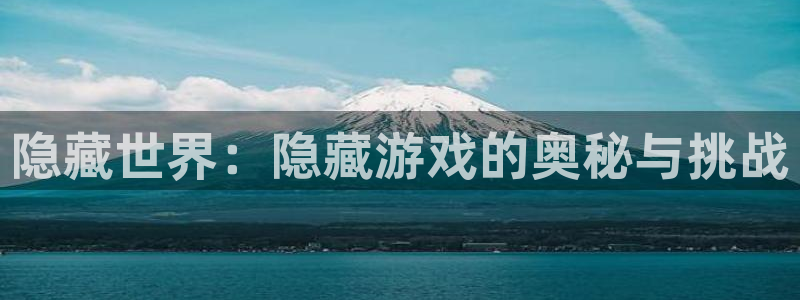 隐藏世界：隐藏游戏的奥秘与挑战