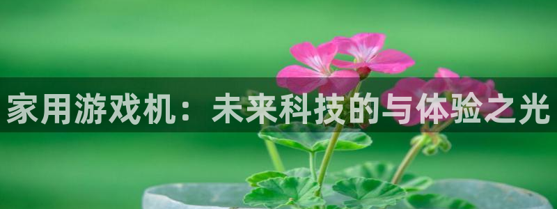 欧陆娱乐是什么样的平台：家用游戏机：未来科技的与体验之光