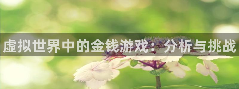 欧陆娱乐平台：虚拟世界中的金钱游戏：分析与挑战