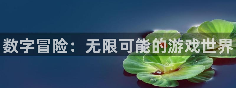 欧陆娱乐平台介绍视频：数字冒险：无限可能的游戏世界