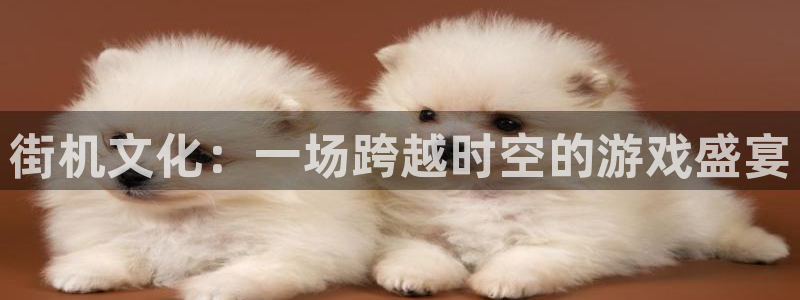 欧陆娱乐平台介绍大全：街机文化：一场跨越时空的游戏盛宴